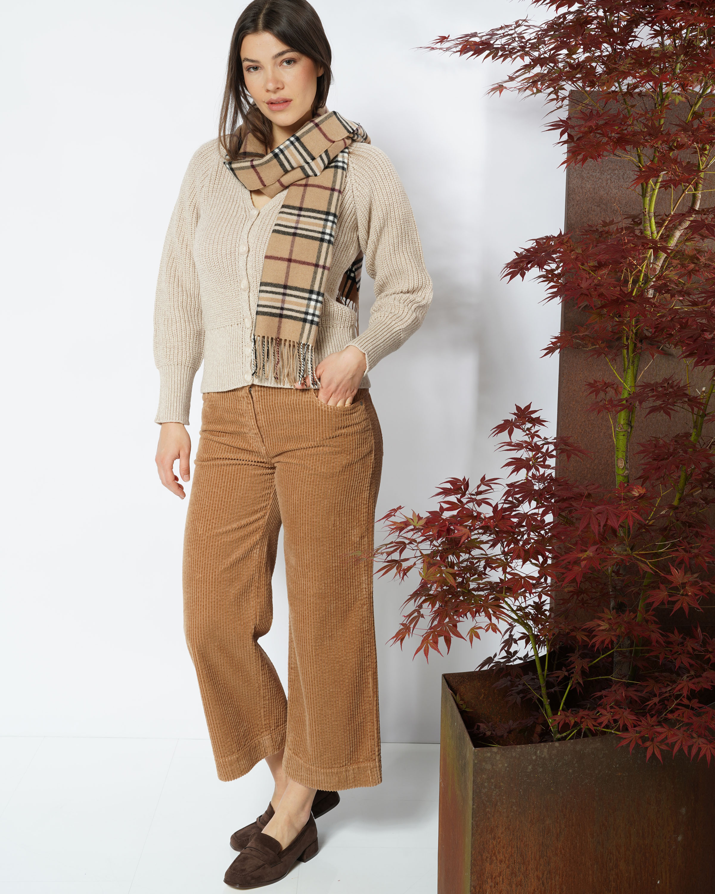 Breitcord Culotte