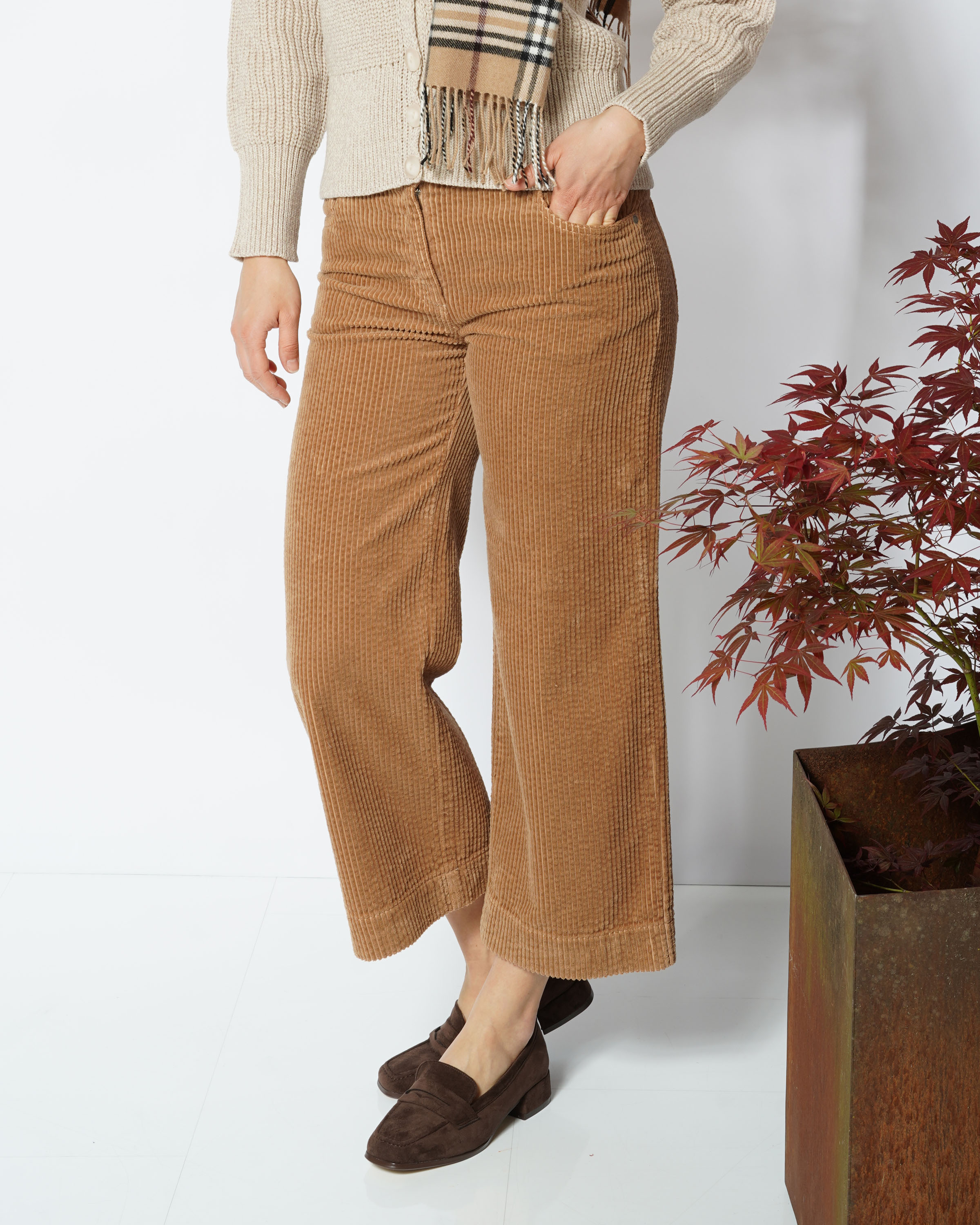 Breitcord Culotte